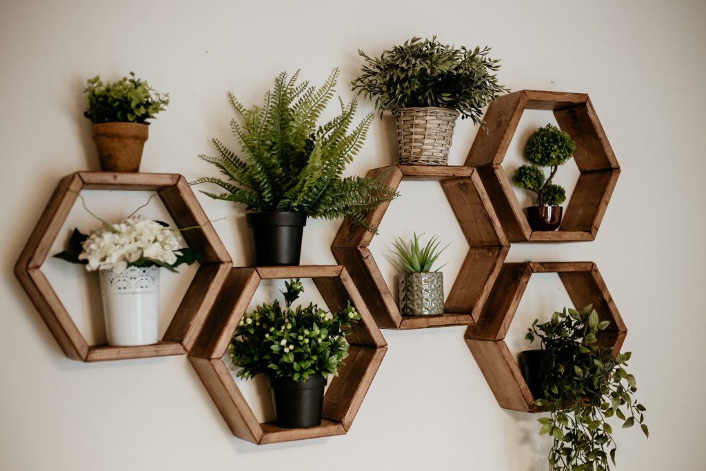 Honeycomb wooden shelves with plants